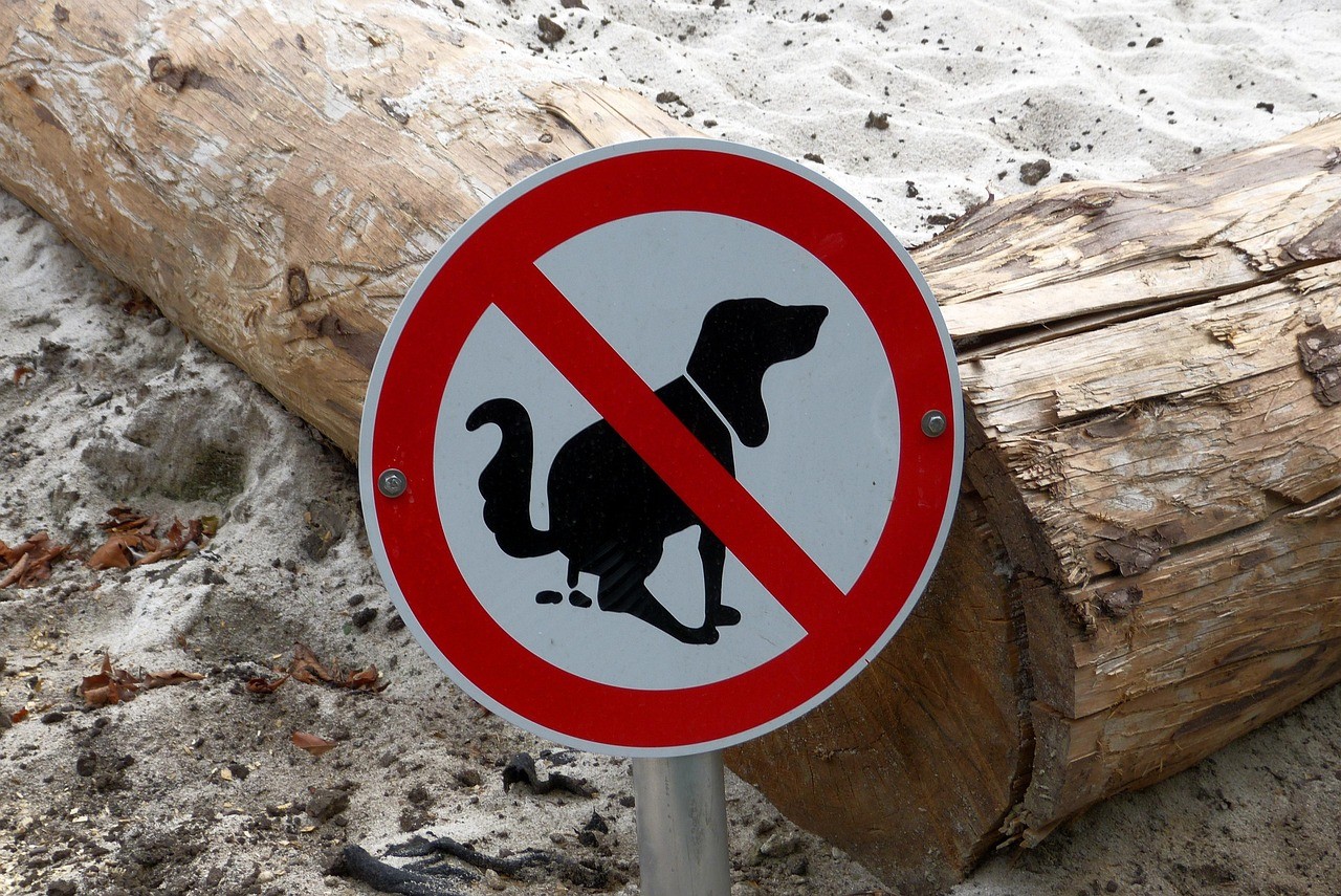Mannheim:  „Hundekot auf Schulweg in Käfertal – Eltern und Anwohner fordern härteres Durchgreifen“