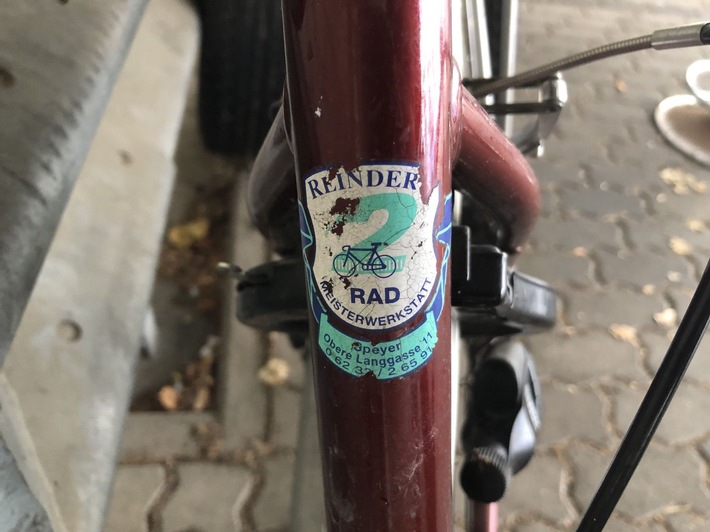 pol-pdlu Rad4