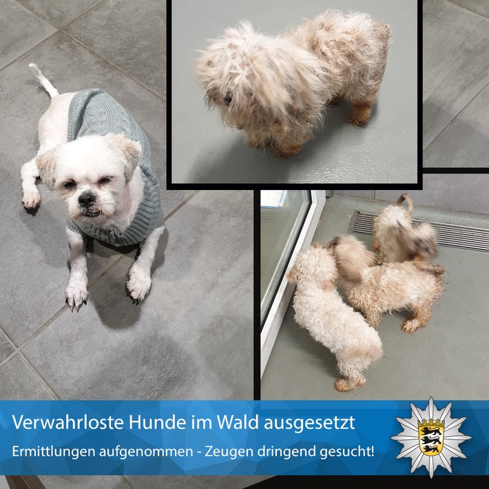 pol-ma hundeimwald