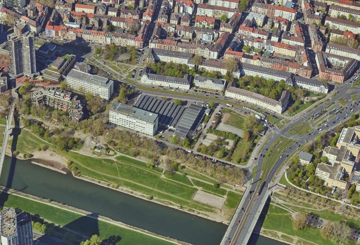 Stadt Mannheim Schafweide