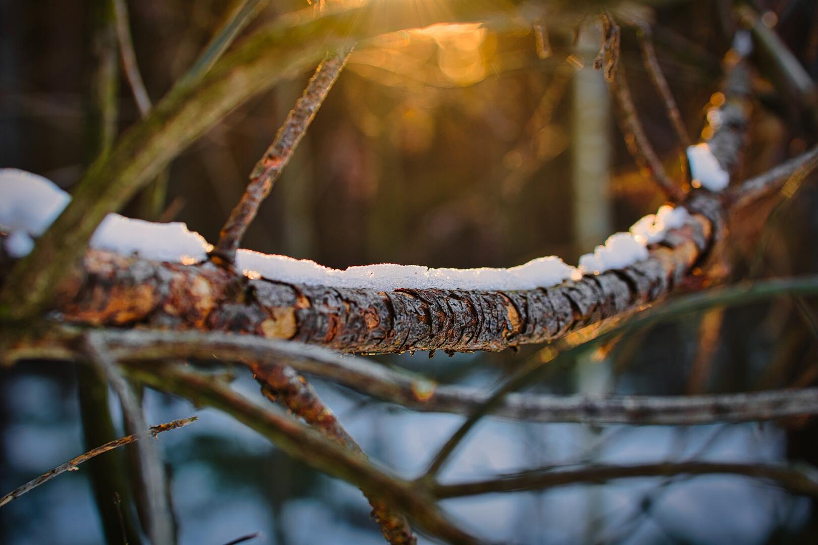 Pixabay Schnee