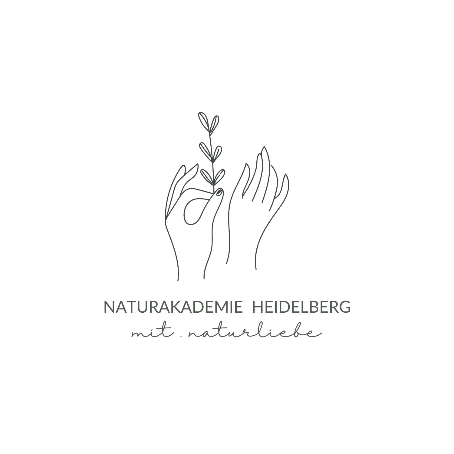 Heidelberg: Auf Pilzpirsch im Herbstwald – Naturakademie lädt zur Pilzwanderung ein