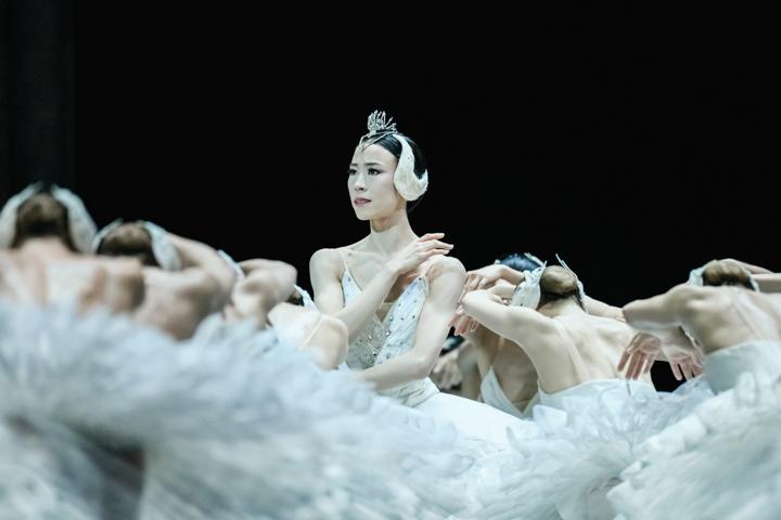 Ballett auf der Kinoleinwand: Tschaikowskis Meisterwerk „Schwanensee“ im IMAX Kino Sinsheim