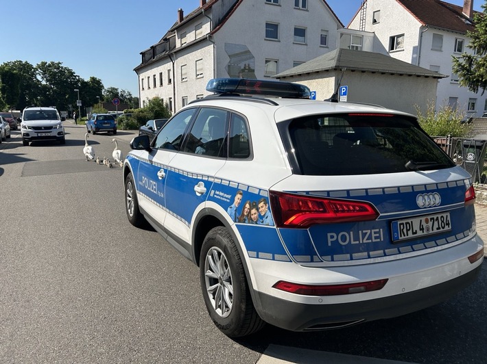 PD-LU polsch