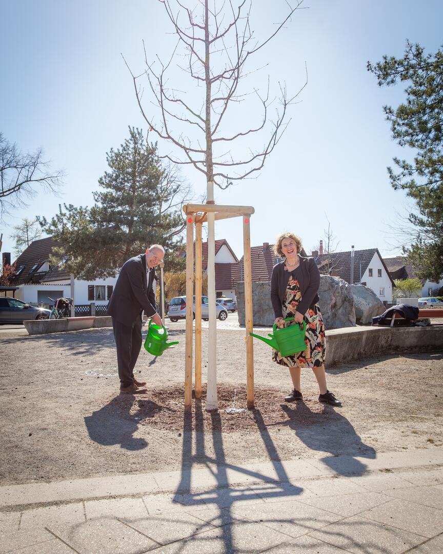 Mannheim: Lena-Maurer-Platz wird grüner – neue Bäume sorgen für spürbare Abkühlung