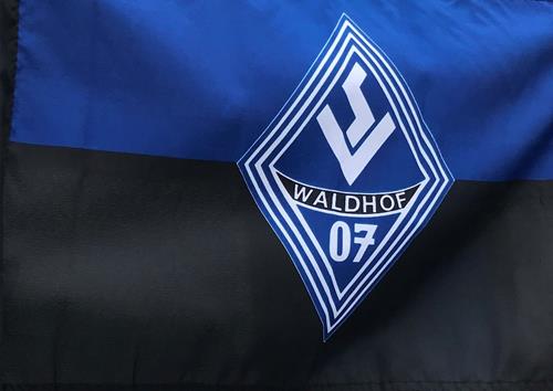 SV Waldhof – Hannover 96 II 2:1