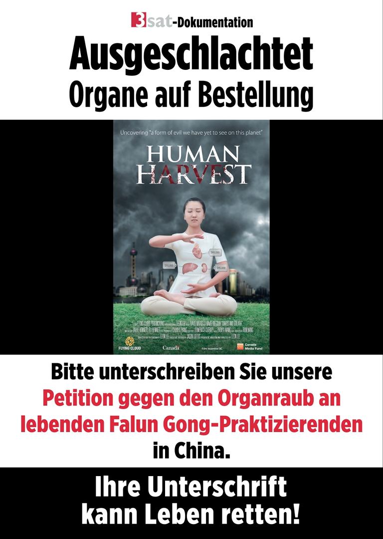 K1024 Ausgeschlachtet A3 Plakat 1000 sRGB