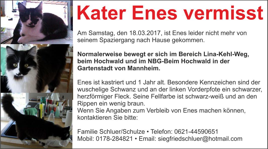 Kater Enes 90x50 01
