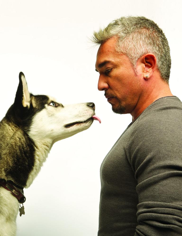 K1024 o 01 CesarMillan Tour 2017 Foto Cesarsway Inc