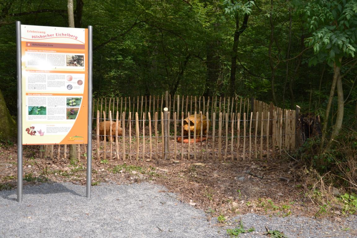 K1024 Erlebnisweg Wildscheine