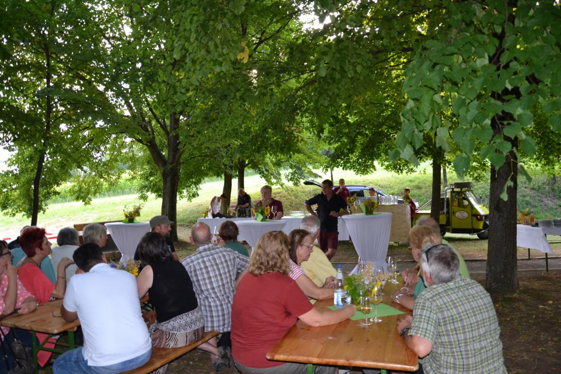 Weinwanderung Steinsberg