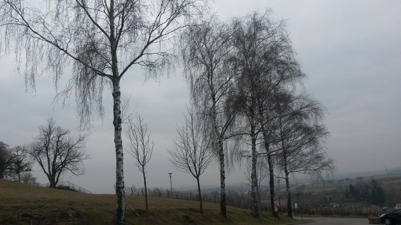 20170209 121457