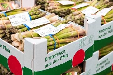 Pfalzmarkt 5