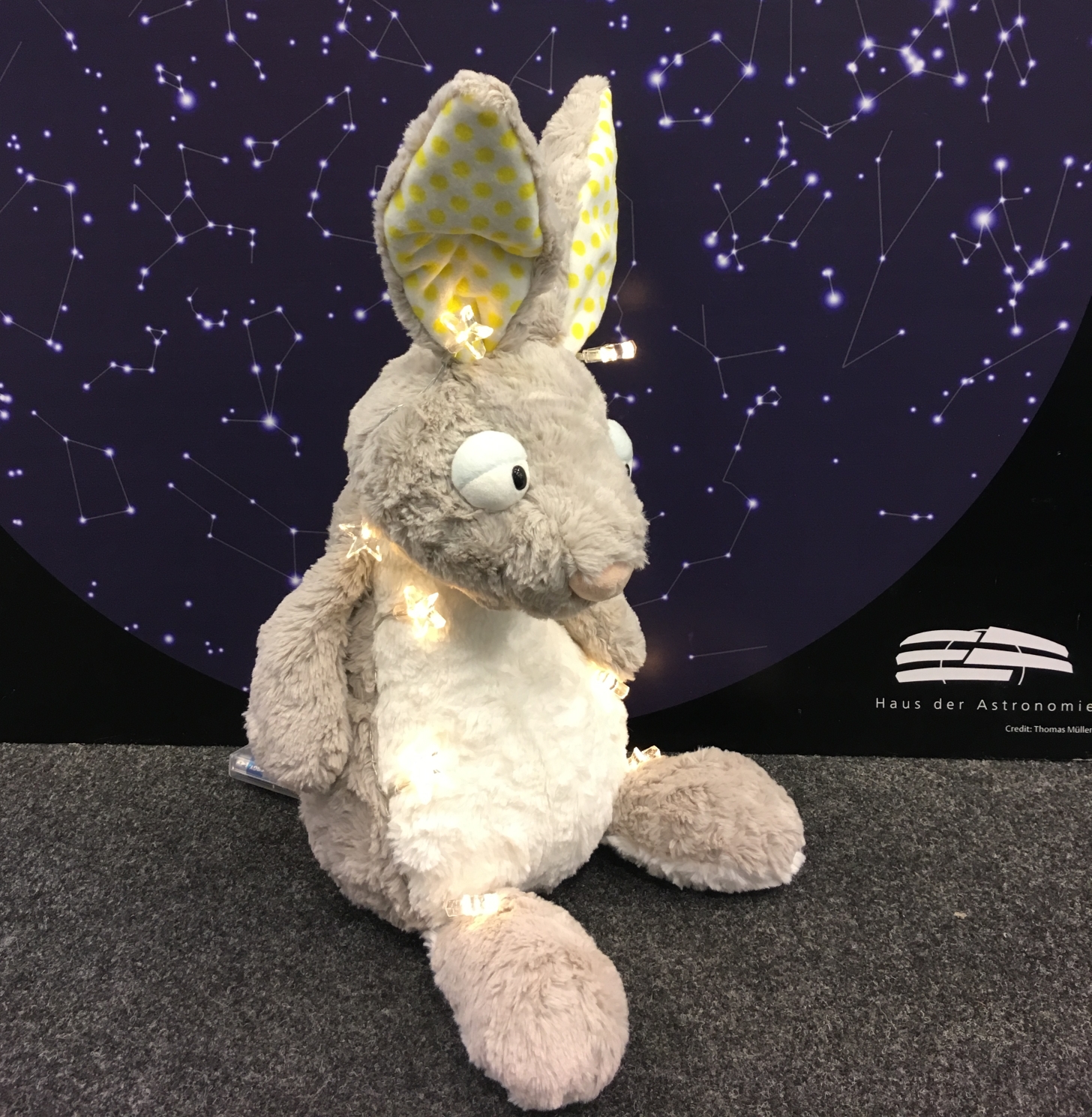 Planetarium Mannheim Hase in Afrika Bild Haus der Astronomie