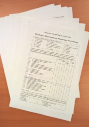 Stadt Mannheim Fragebögen Sicherheitsbefragung 2016