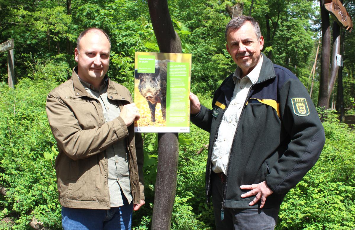K1024 AAA 160511 wildschwein plakat