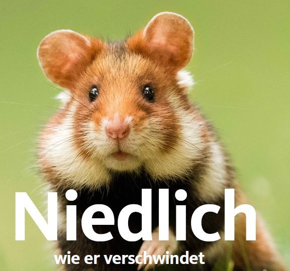 Stadt Mannheim Plakat 3