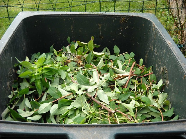 green waste 486011 640