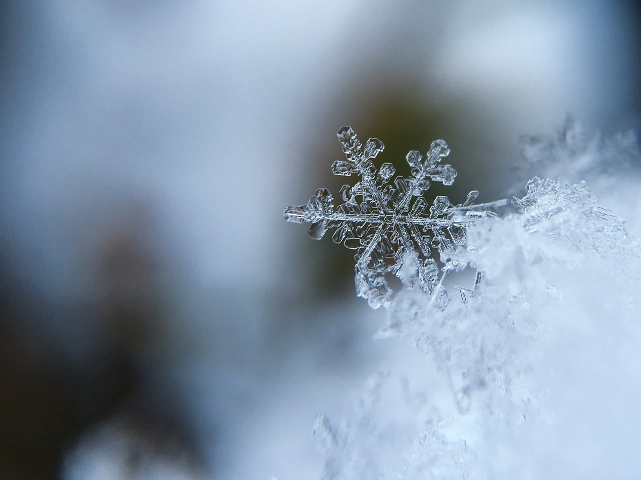 pixabay snowflake 1245748 1280