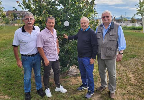 (Foto: SpoWo) v.l.n.r.; Michael Schüßler, Kalle Bührer, Klaus Schlappner und Hams-Jürgen Pohl SVW Baumspende 1