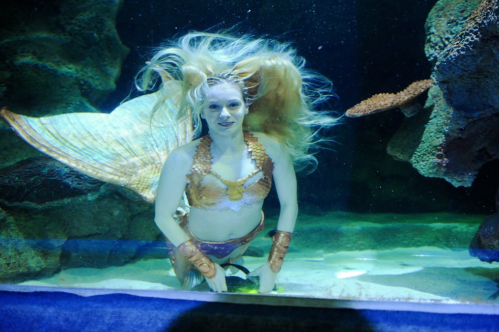 Sea Life Meerjungfrau beim Tauchgang