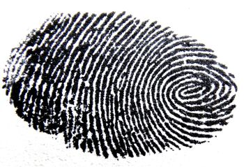 fingerprint 456483 1920