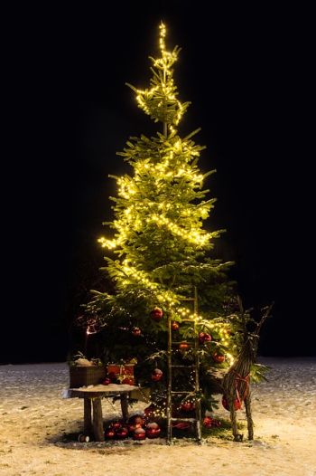 christmas tree 3009740 640